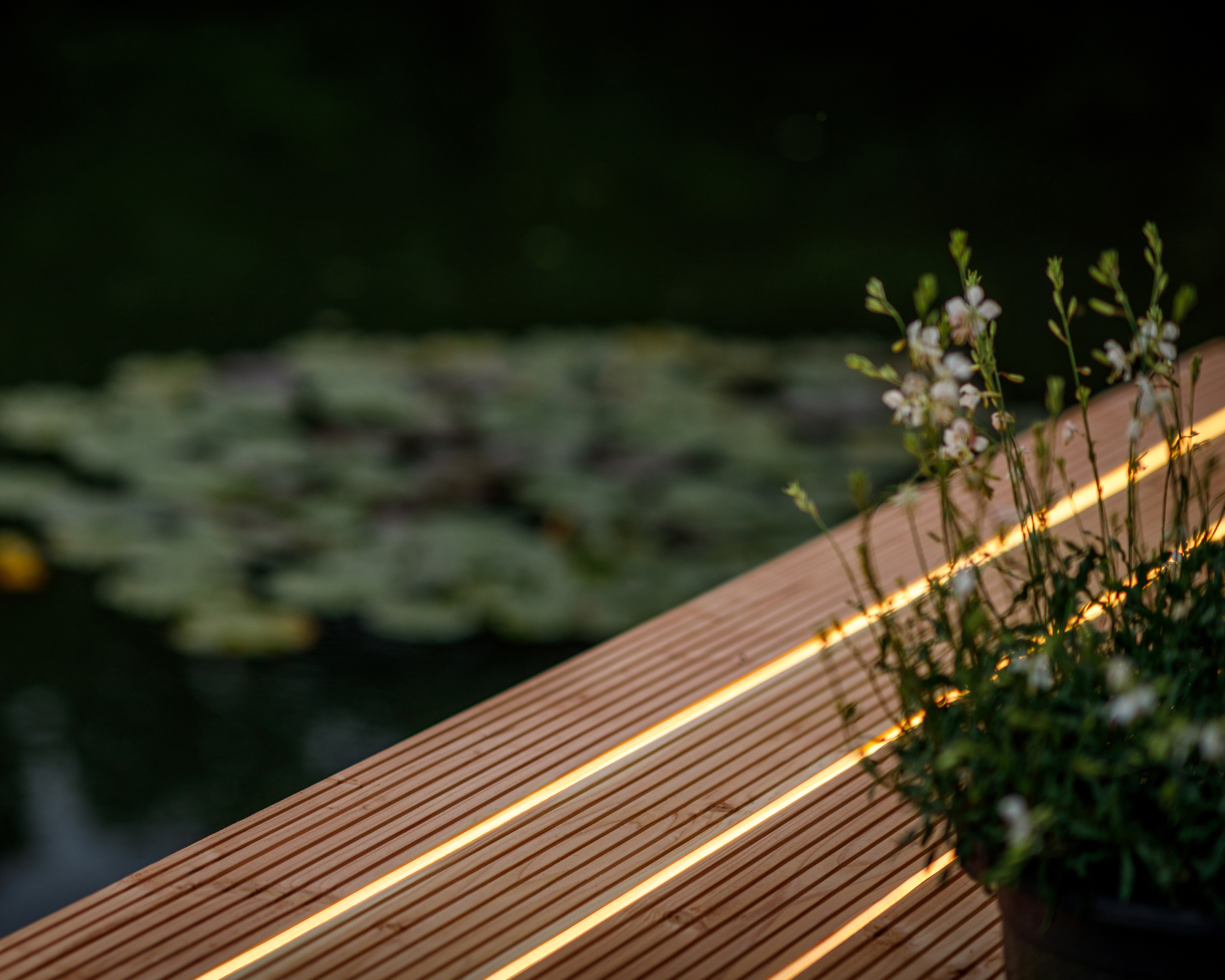 LightPro DEKOLEUCHTEN