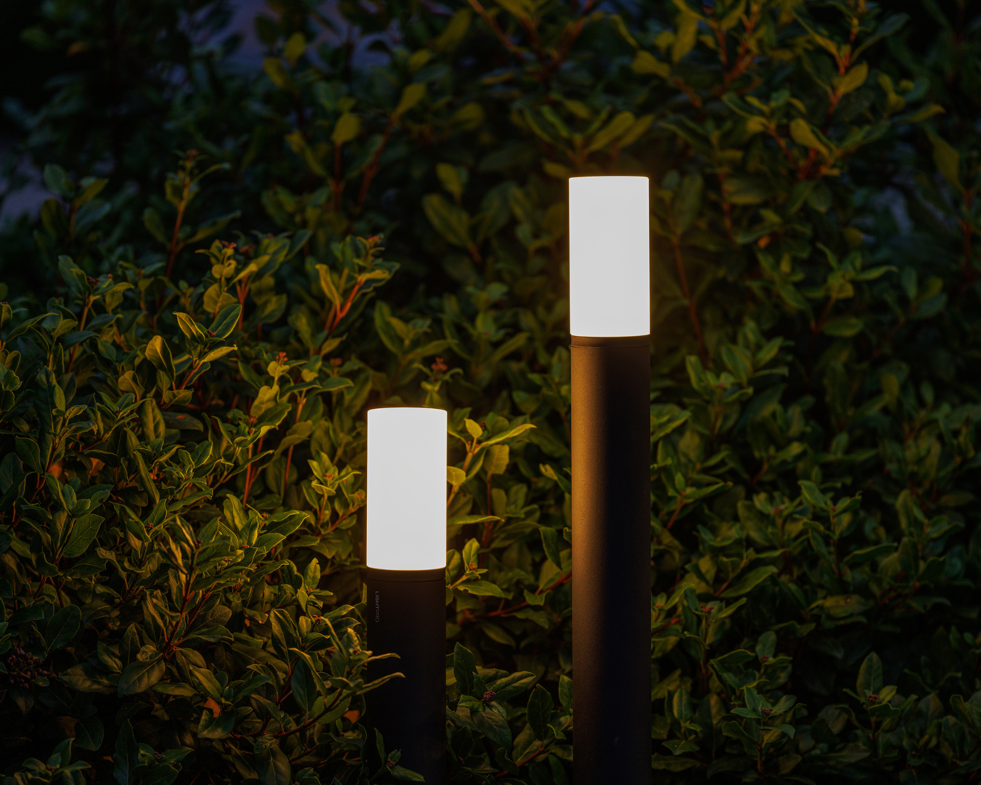 LightPro SOCKELLEUCHTE