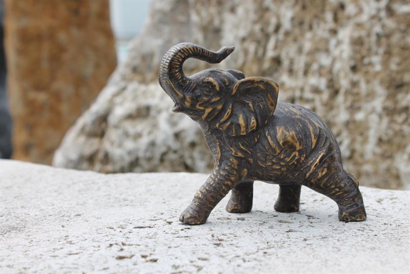 DKB00118_1lq_Elefant DKB00118_1lq_Elefant.jpg
