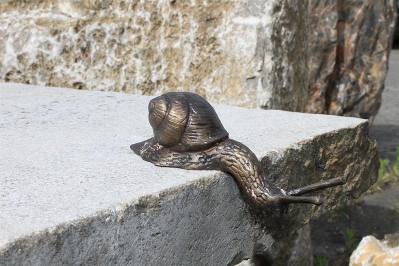 Bronze-Schnecke, nach unten kriechend, klein Bronze-Schnecke, nach unten kriechend, klein
